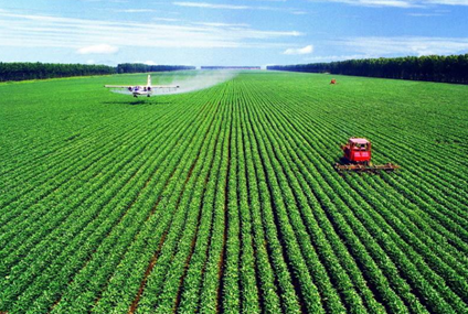 美国农业:大农场模式 - 北京宏福投资管理